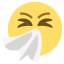 :sneezing_face: